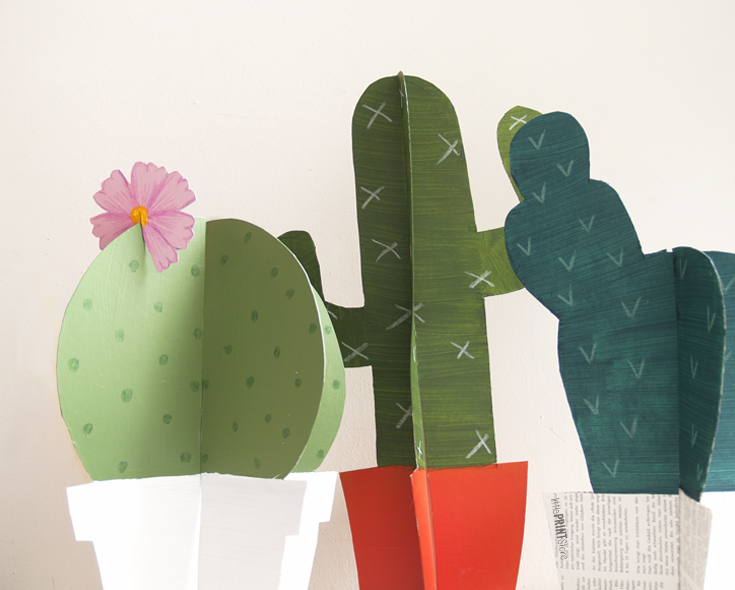 kaktus-papier-skizzen-party-buntique